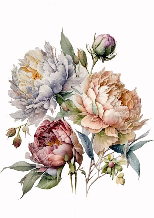 Waterslide Transfer