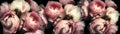 VRFP1775-Decoupage-Drumwrap