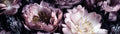 VRFP20011-Decoupage-Drumwrap
