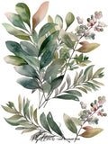Papillon Rub-on Image Transfers