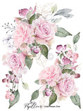 Papillon Rub-on Image Transfers