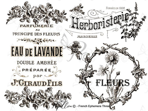 Papillon Rub-on Image Transfers