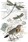 Papillon Rub-on Image Transfers