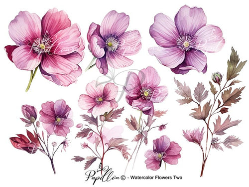 Papillon Rub-on Image Transfers