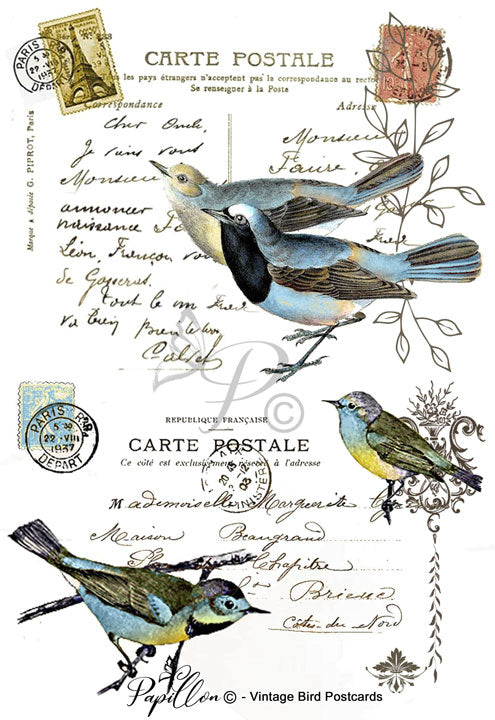 Papillon Rub-on Image Transfers