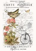 Papillon Rub-on Image Transfers