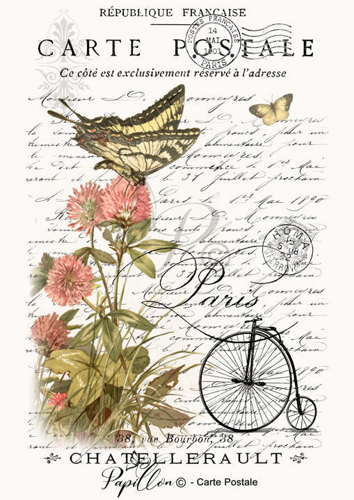 Papillon Rub-on Image Transfers