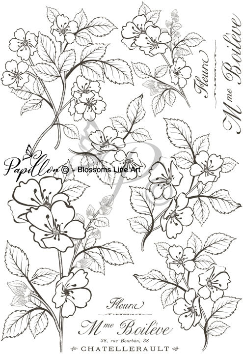 Papillon Rub-on Image Transfers