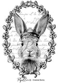 Papillon Rub-on Image Transfers