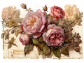 Papillon Rub-on Image Transfers