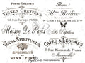 Papillon Rub-on Image Transfers