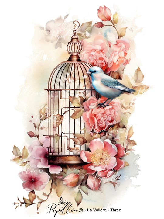 Papillon Rub-on Image Transfers