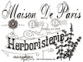 Papillon Rub-on Image Transfers