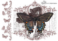 Papillon Rub-on Image Transfers