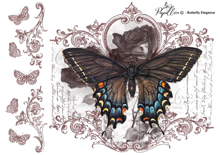 Papillon Rub-on Image Transfers