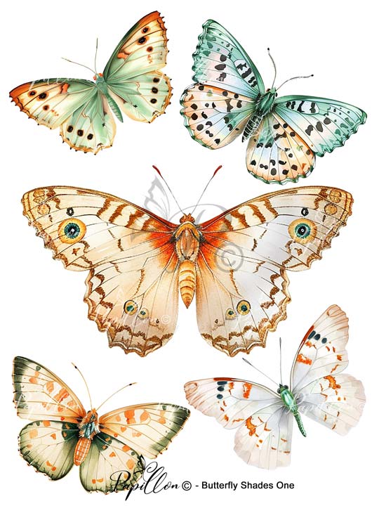 Papillon Rub-on Image Transfers