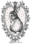 Papillon Rub-on Image Transfers