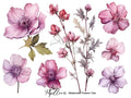 Papillon Rub-on Image Transfers