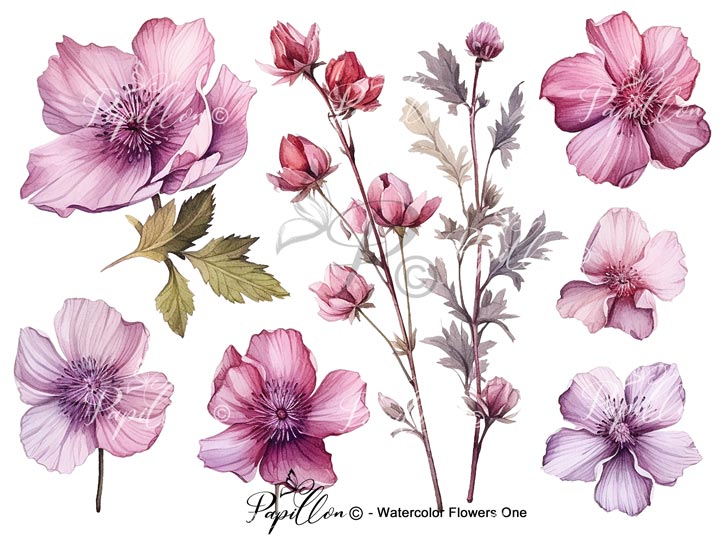 Papillon Rub-on Image Transfers