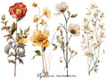 Papillon Rub-on Image Transfers