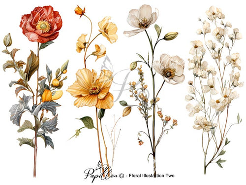 Papillon Rub-on Image Transfers