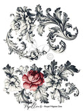Papillon Rub-on Image Transfers