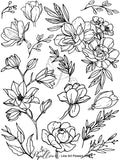 Papillon Rub-on Image Transfers