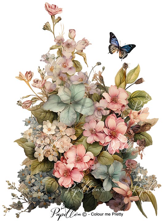Papillon Rub-on Image Transfers