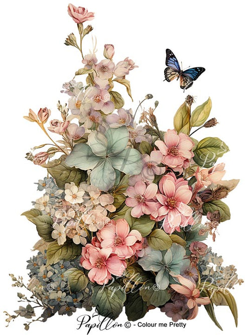 Papillon Rub-on Image Transfers