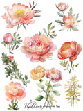 Papillon Rub-on Image Transfers