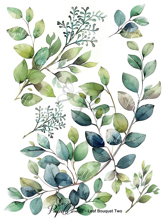 Papillon Rub-on Image Transfers