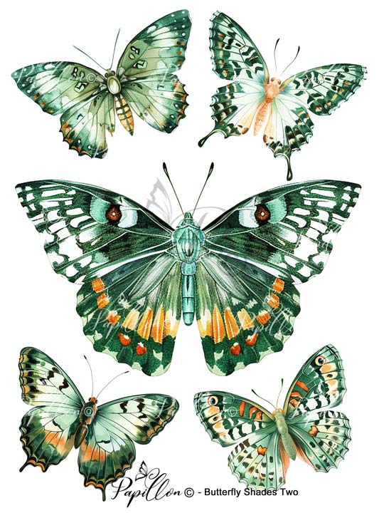 Papillon Rub-on Image Transfers