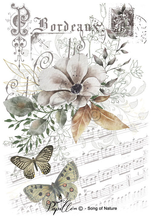 Papillon Rub-on Image Transfers