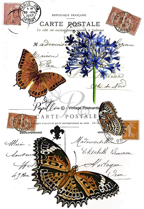 Papillon Rub-on Image Transfers