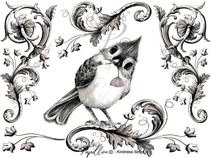 Papillon Rub-on Image Transfers