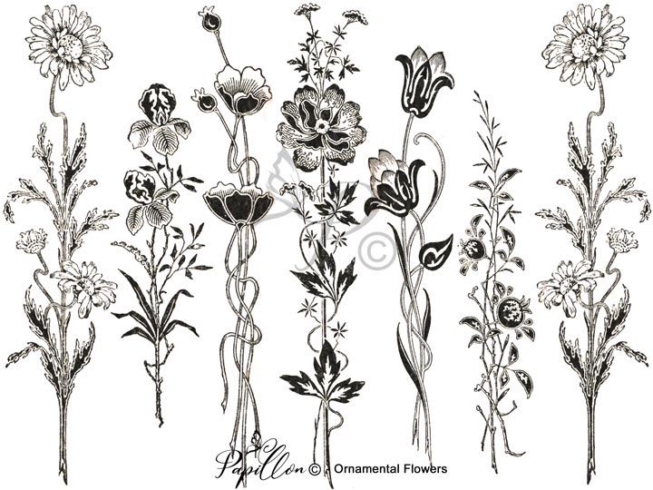 Papillon Rub-on Image Transfers