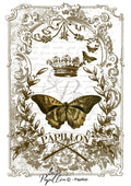 Papillon Rub-on Image Transfers