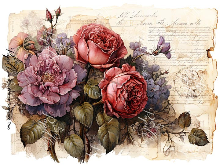 Papillon Rub-on Image Transfers