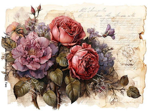 Papillon Rub-on Image Transfers