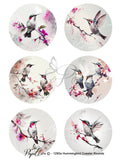 Papillon Rub-on Image Transfers