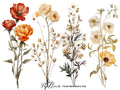 Papillon Rub-on Image Transfers