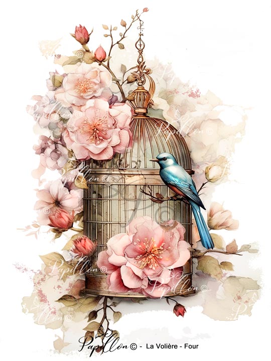 Papillon Rub-on Image Transfers