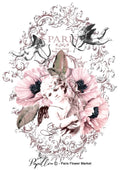Papillon Rub-on Image Transfers