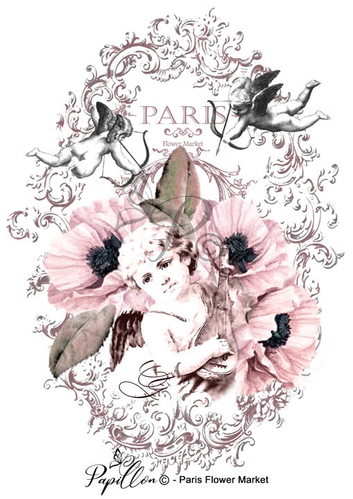 Papillon Rub-on Image Transfers