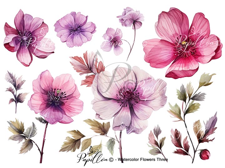 Papillon Rub-on Image Transfers
