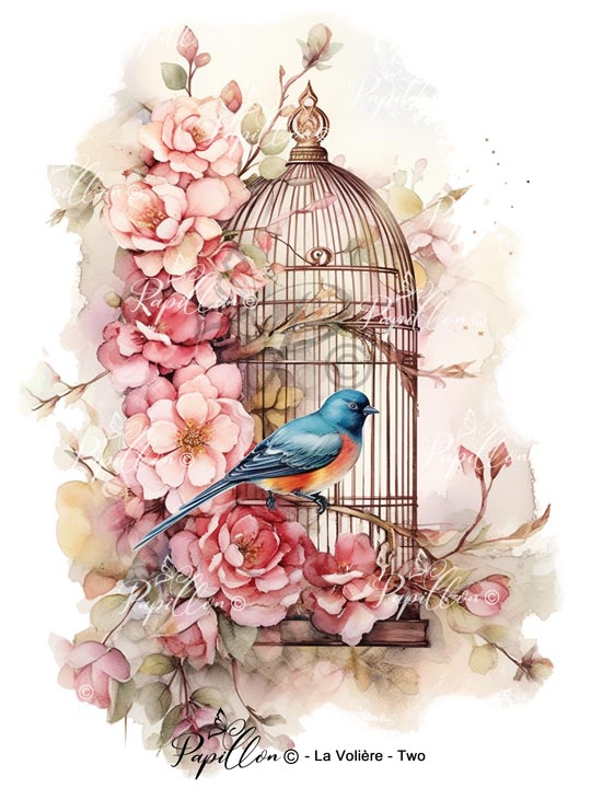 Papillon Rub-on Image Transfers