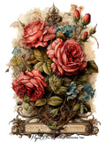 Papillon Rub-on Image Transfers